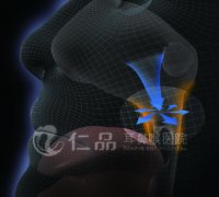 H-UPPP��ϵ�����������