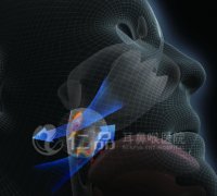 ͸��������