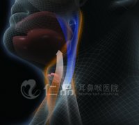 �������ϰ�λһ����ɤ