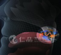 WJ˫���������µ�����������