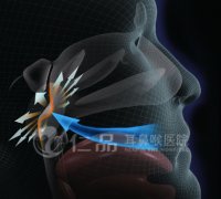 <b>��������΢�޺���</b>