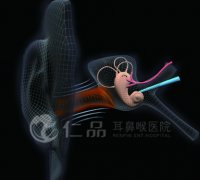 <b>������赡�7+2�����帴��</b>