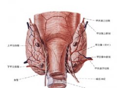 ���˼�״����������Щ֢״����