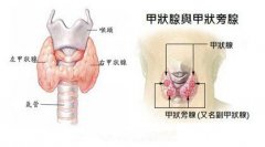 �Ͼ����Ƽ�״����ҽԺ�ļҺ�