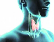 ��״����������