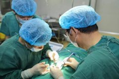 ����Ů�����Ͼ���Ʒ��ϳ���״������