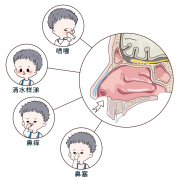 �ٱ�����Ļ��������ף���Щ���������ÿ�춼�ھ�����